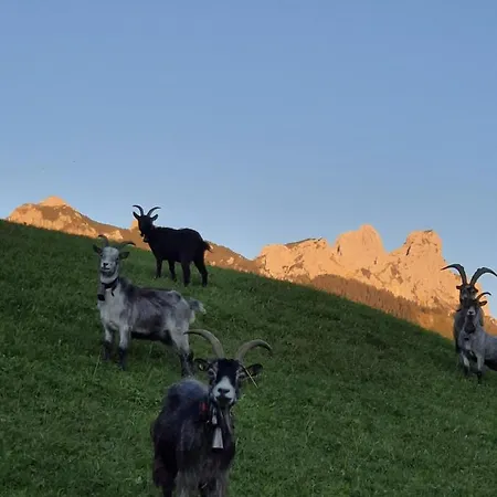 Feriehus Carmen Grän