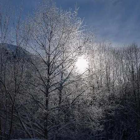 Carmen Feriehus Grän