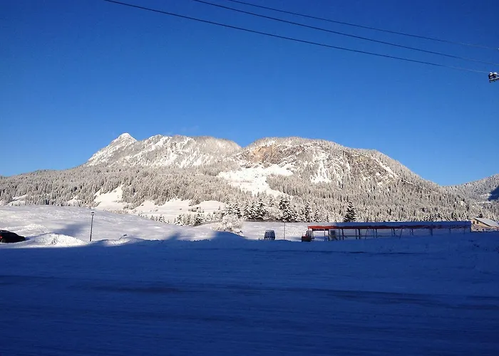 Dom wakacyjny Carmen *